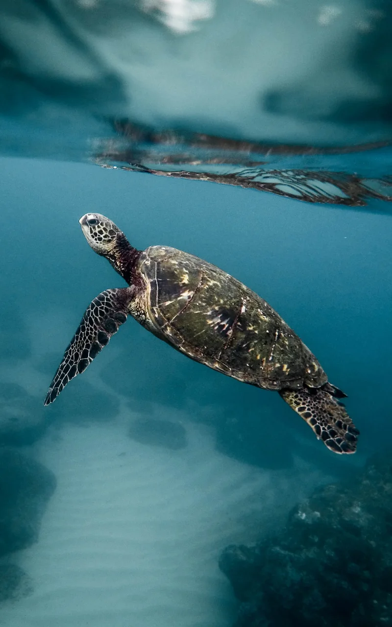 Navigeer door de B2B-marketingtrends van 2026 zonder je focus te verliezen. Ontdek wat er verandert in het koopgedrag [X101X] de tijdloze fundamenten die je niet onnodig moet bijstellen.